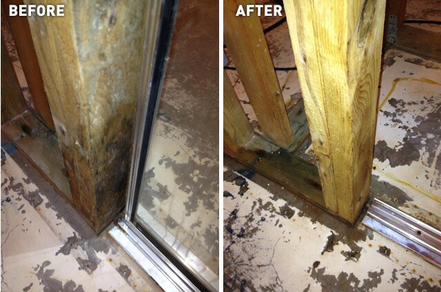 Concrobium Mold Stain Remover