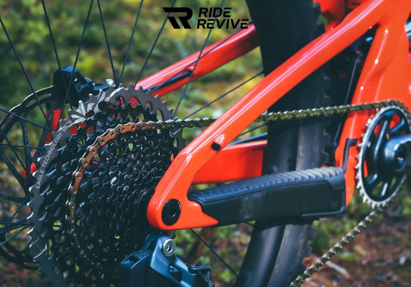 Revive Degreaser – Professional Bike Chain & Drivetrain Cleaner (16oz) – Biod…