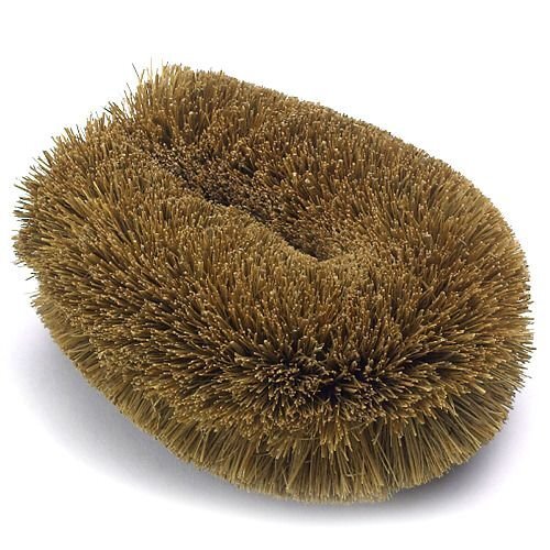 ” Vegetable Scrub Brush — 3 Packs japan Impor