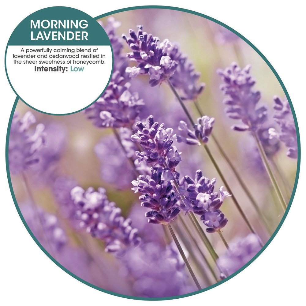 Fresh Products OFE36MLBX ourfreshE Refills – Morning Lavender (6/BX) New