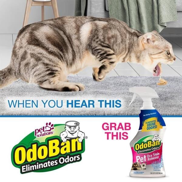 3 Pack OdoBan 32oz. Pet Oxy Stain Remover Eliminates Urine Odor Oxygen Activated