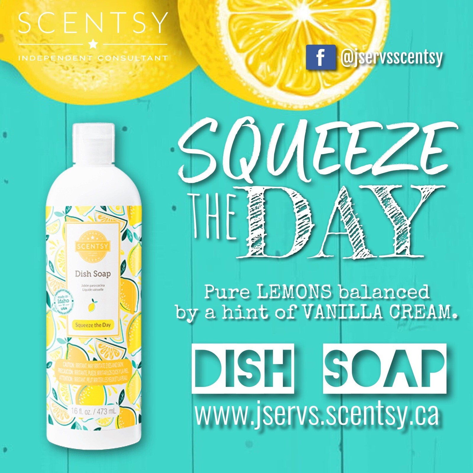 Scentsy DISH SOAP ~ Clean Smell ~ Full Sz Scented VerySnowy Spruce Citrus Grotto