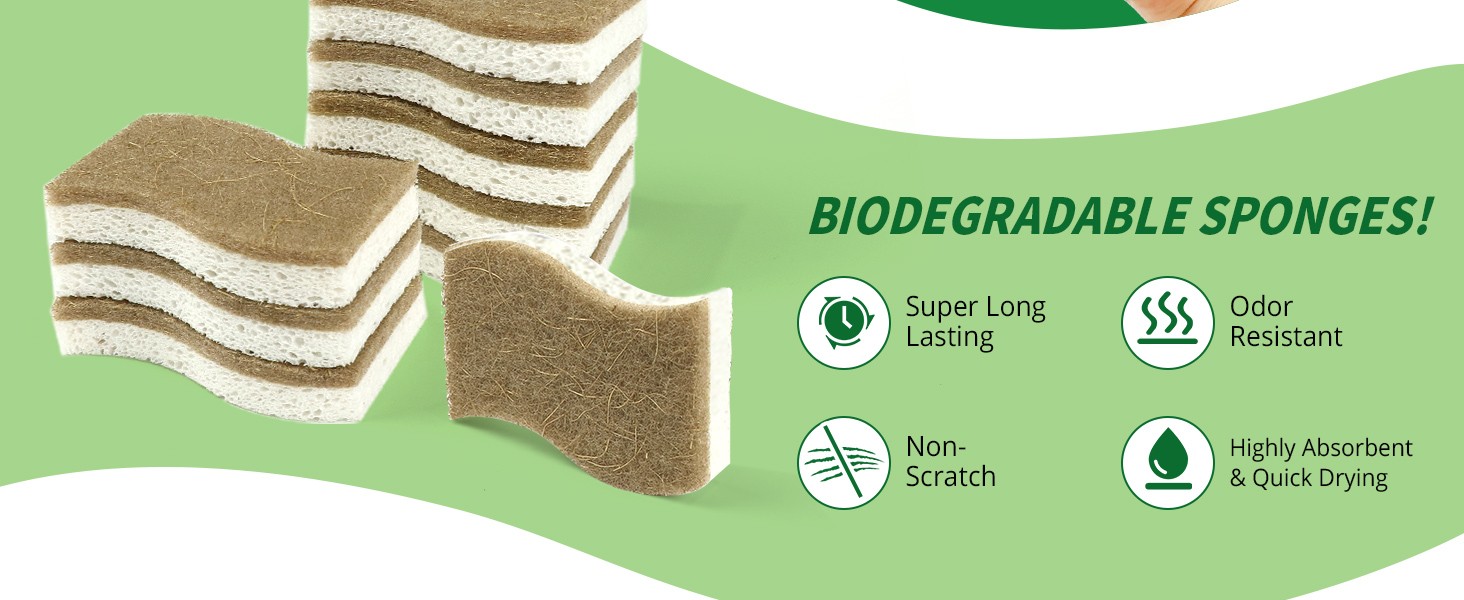 16 Pack Biodegradable Natural Kitchen Sponge – Compostable Cellulose and Coconut