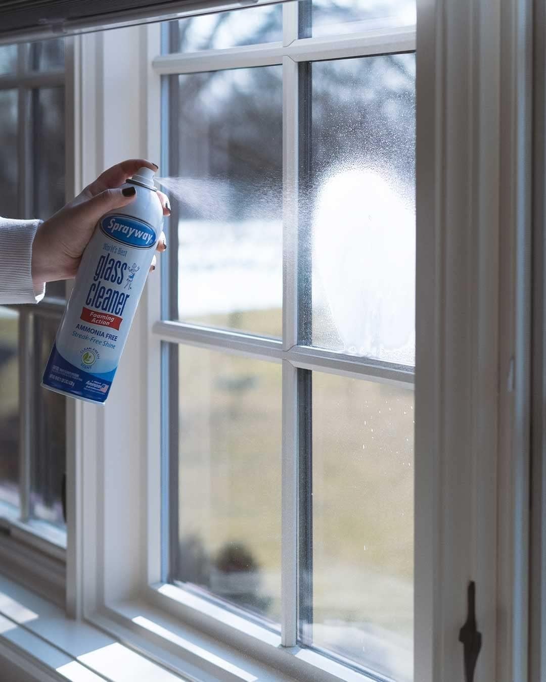 Glass Cleaner with Foaming Spray for a Streak-Free Shine for Home and Automot…