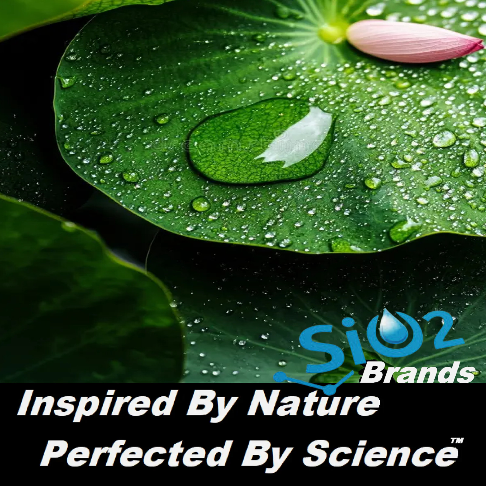 MARBLE COUNTERTOP POLISH STAINLESS APPLIANCES QUARZITE QUARTZ GRANITE TILE GLASS