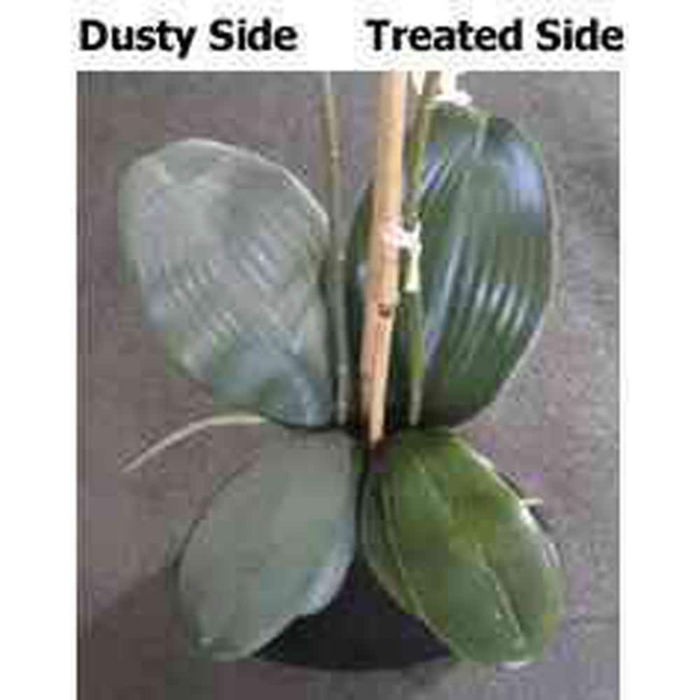Silk Plant Cleaner No-Rinse Repels Dust Shines Frame Pet Safe Phosphate Free