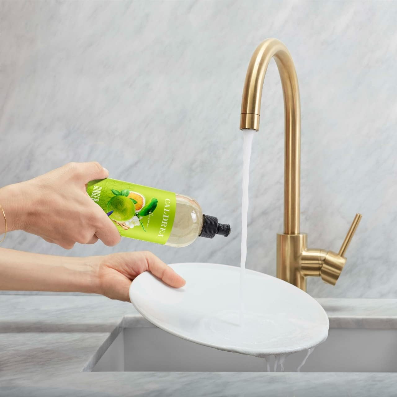 Dish Soap, Biodegradable Dishwashing Liquid made with Soap Bark and Aloe Vera,