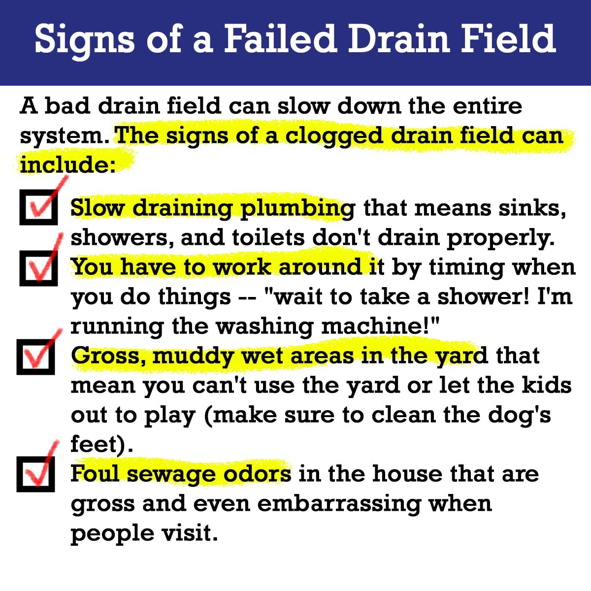 2-Pack Value BUNDLE of Drain Field Cleaner Tablets by Dr Pooper. Clears Septic