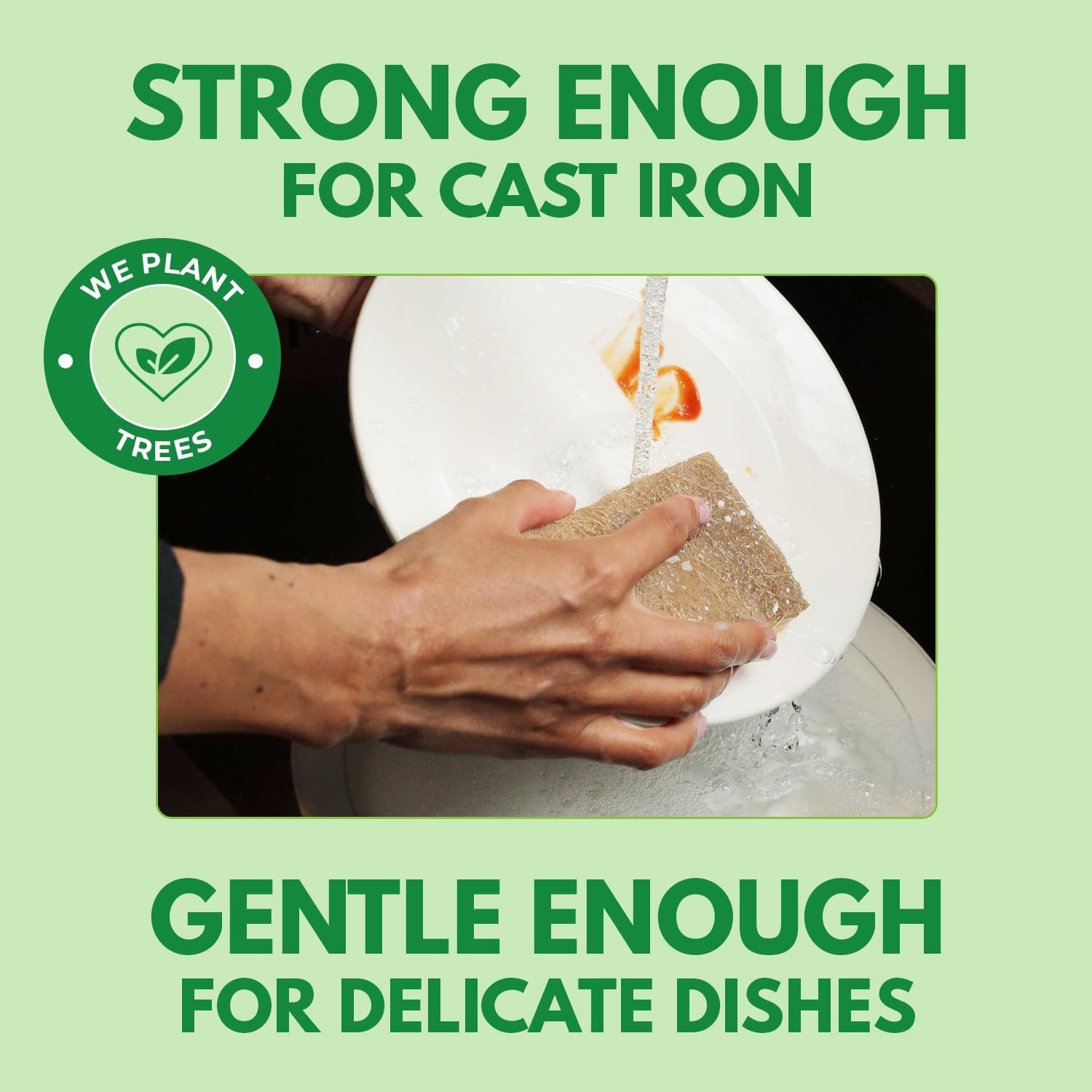 10 Pack Biodegradable Natural Kitchen Sponge – Compostable Cellulose and Coconut