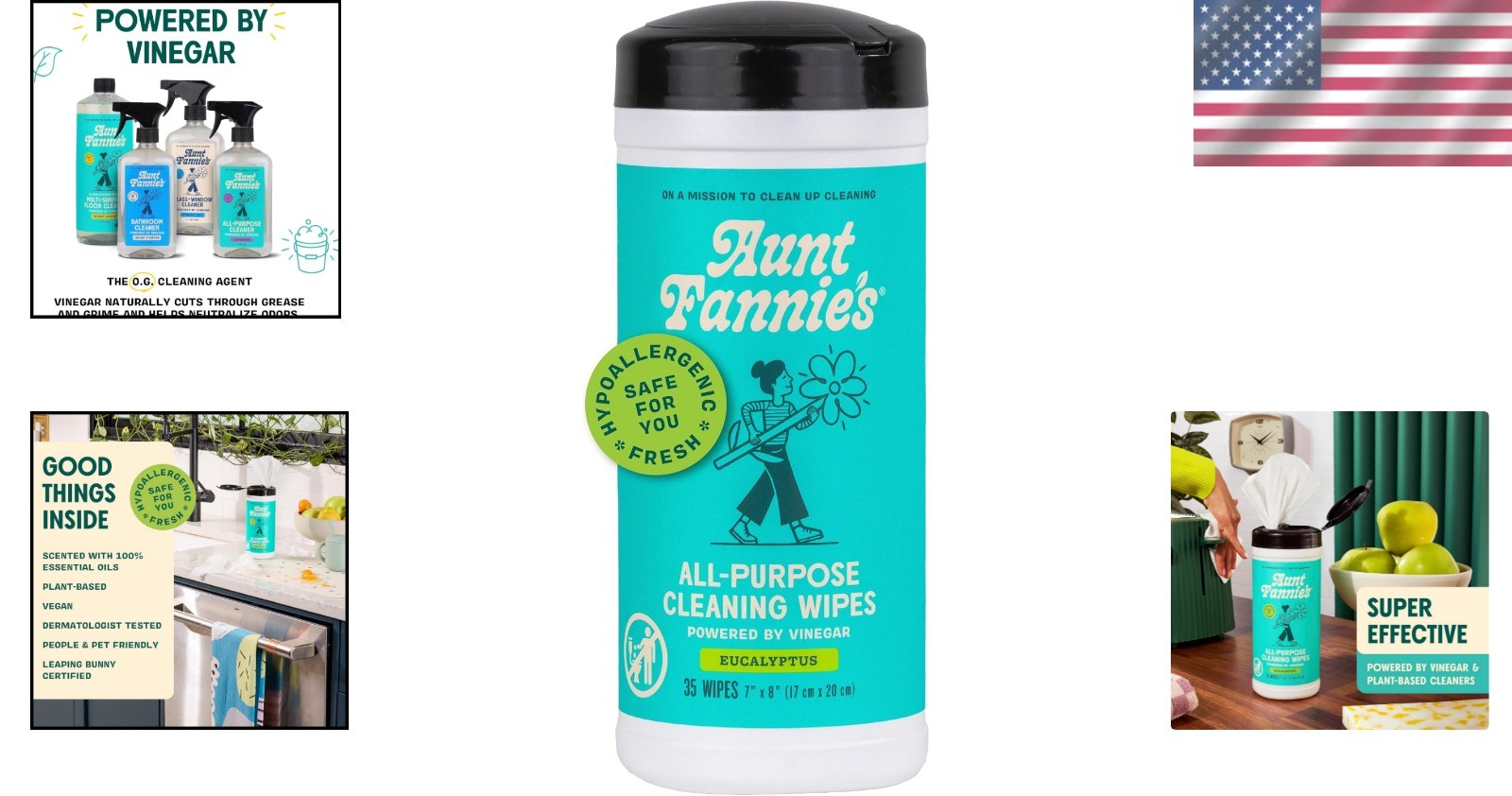 Aunt Fannie’s 35-Count Biodegradable Eucalyptus Vinegar Wipes for Home Cleaning