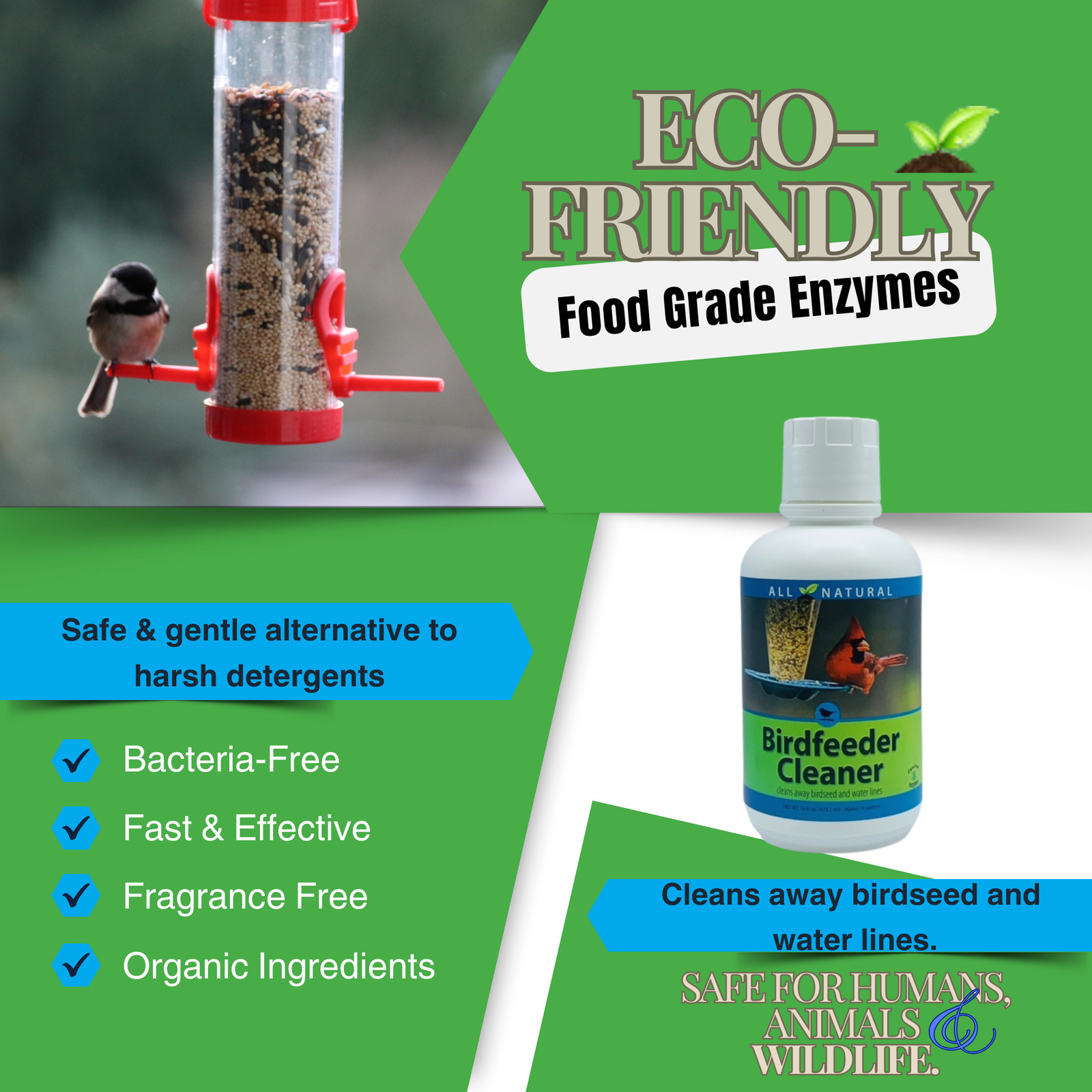 All-Natural Bird Feeder Cleaner & Protector | CareFree Enzymes Birdfeeder Cleane