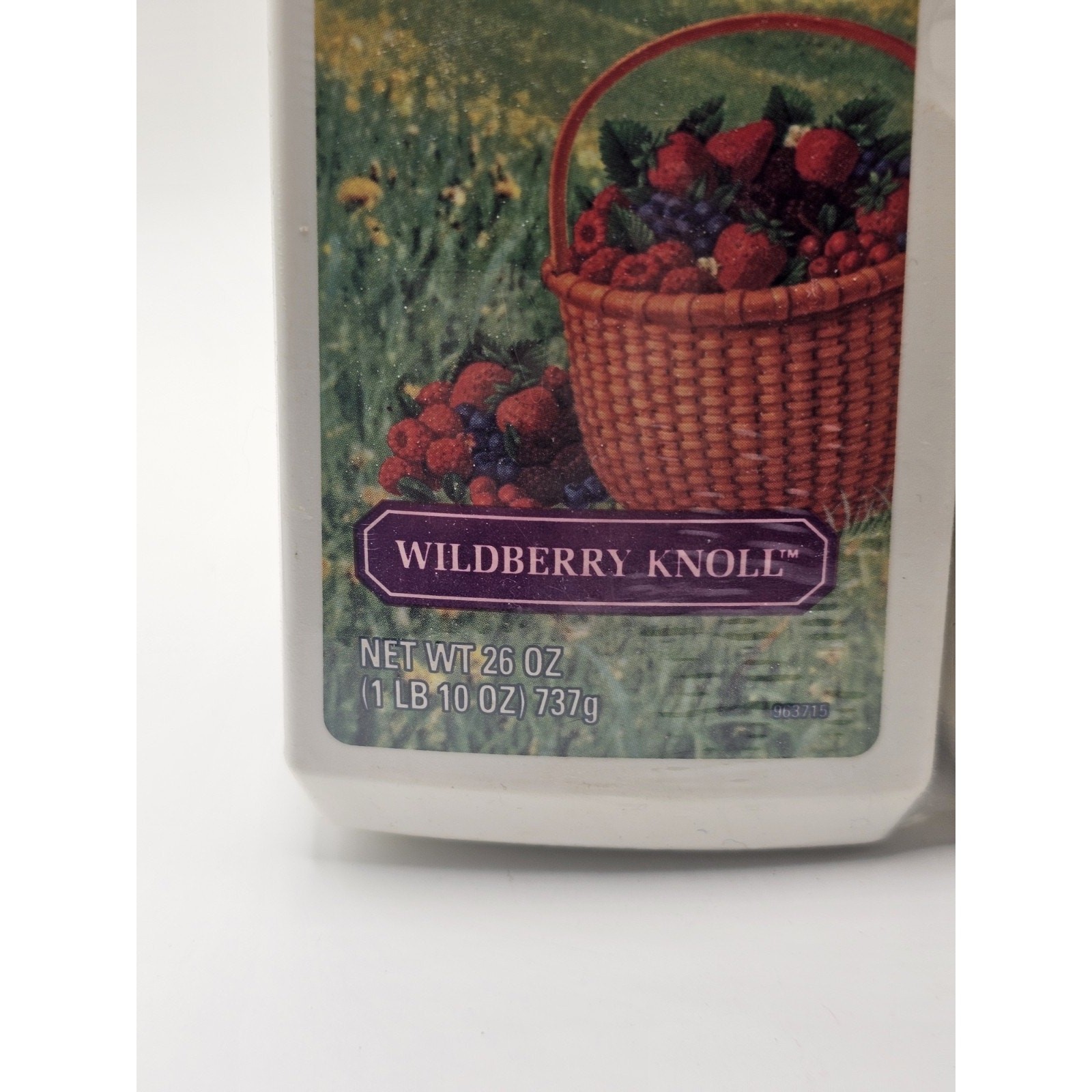 2 Pack Vintage 1994 Airwick Carpet Fresh Deodorizer Wildberry Knoll Sealed 26oz