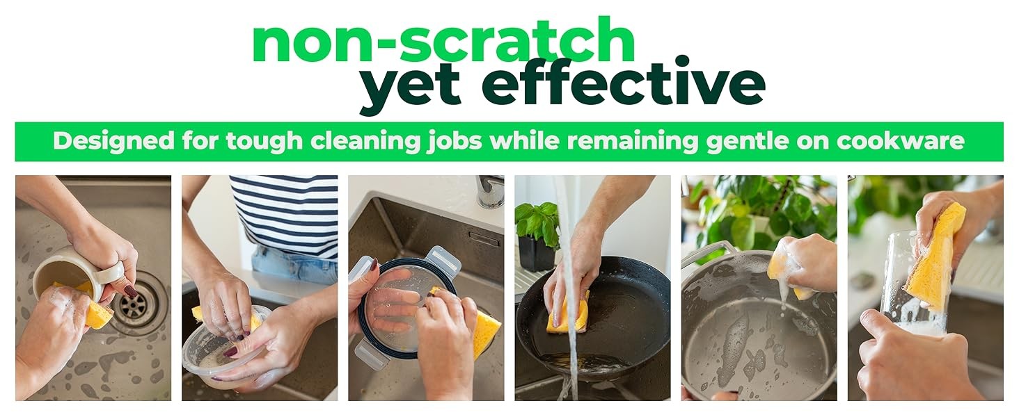 12 Pack Natural Biodegradable Kitchen Sponges – Eco-Friendly, Compostable,