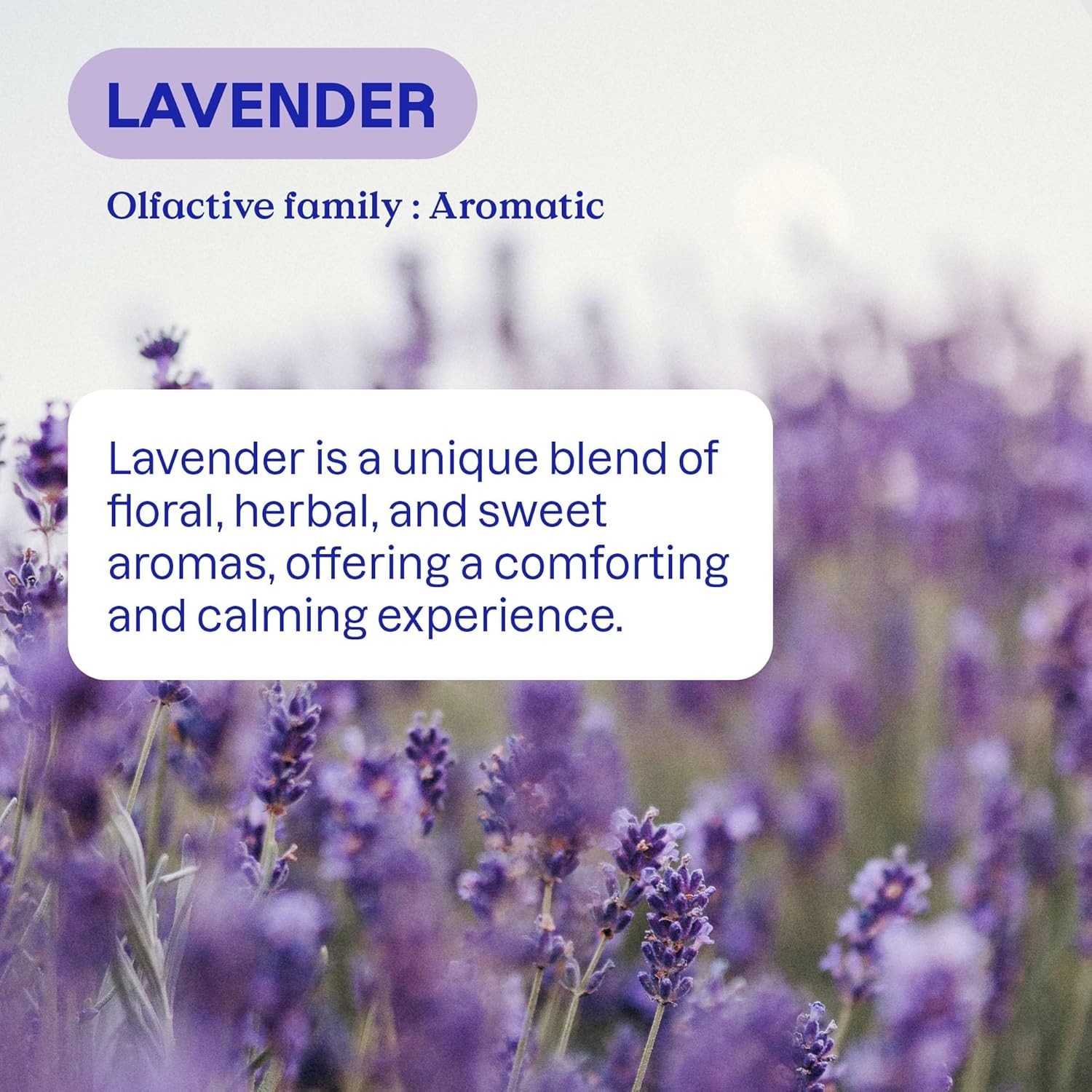 Natural Lavender All Purpose Cleaner, 94% Plant Ingredients