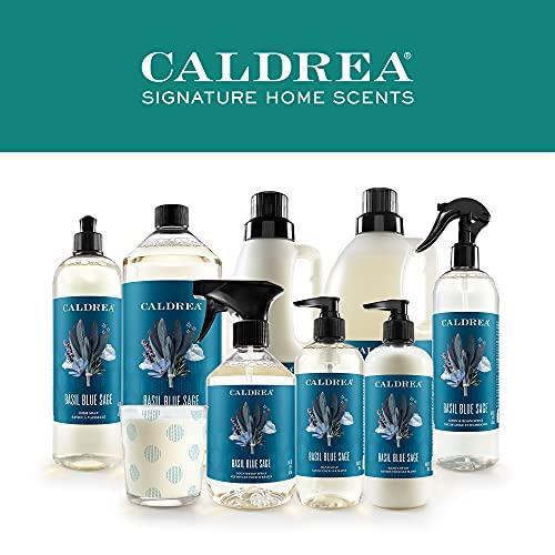 Caldrea Multi-surface Countertop Spray Cleaner, Made with Vegetable Protein