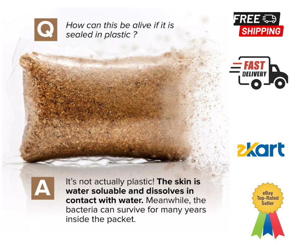 Septic Tank Treatment – 1 Year Supply of Dissolvable Easy Flush Live Bacteria…