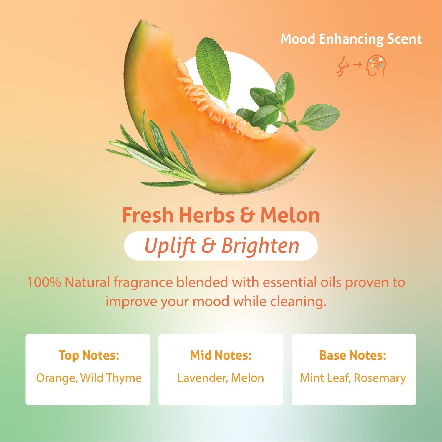 Clean All Purpose Cleaning Spray – Fresh Herbs & Melon 24 fl. oz – 100% Natur…