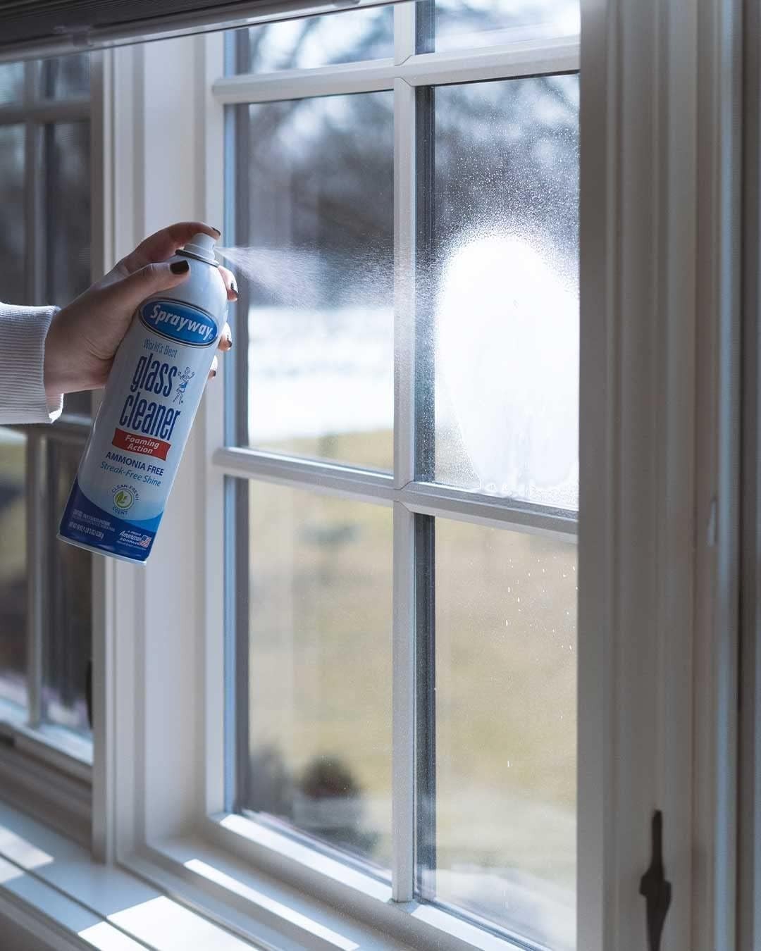 Glass Cleaner with Foaming Spray for a Streak-Free Shine for Home and Automot…