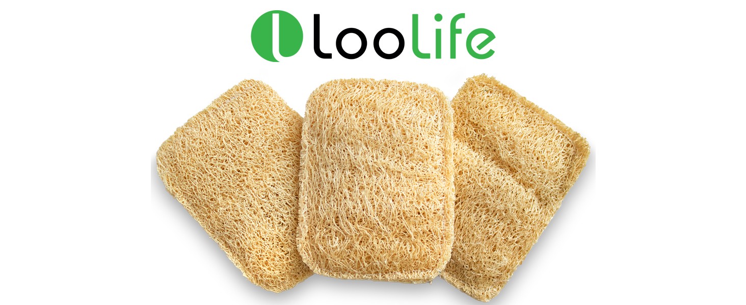 Natural Loofah Kitchen Sponge (3 Pack) – Natural Sponges for Dishes – Eco