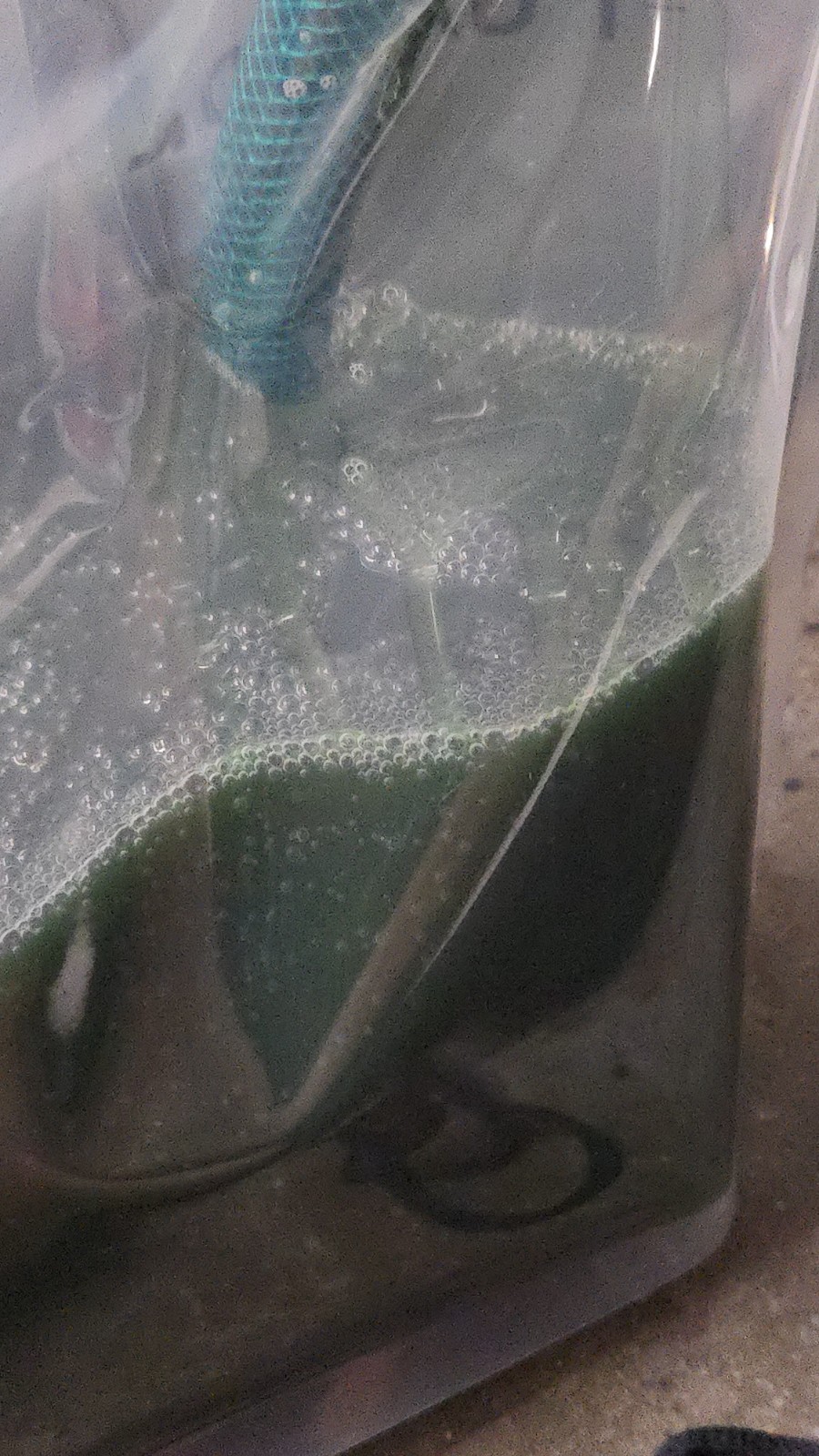 1.3 Gallon Compare To Gain Laundry Detergent 1.3 GAL