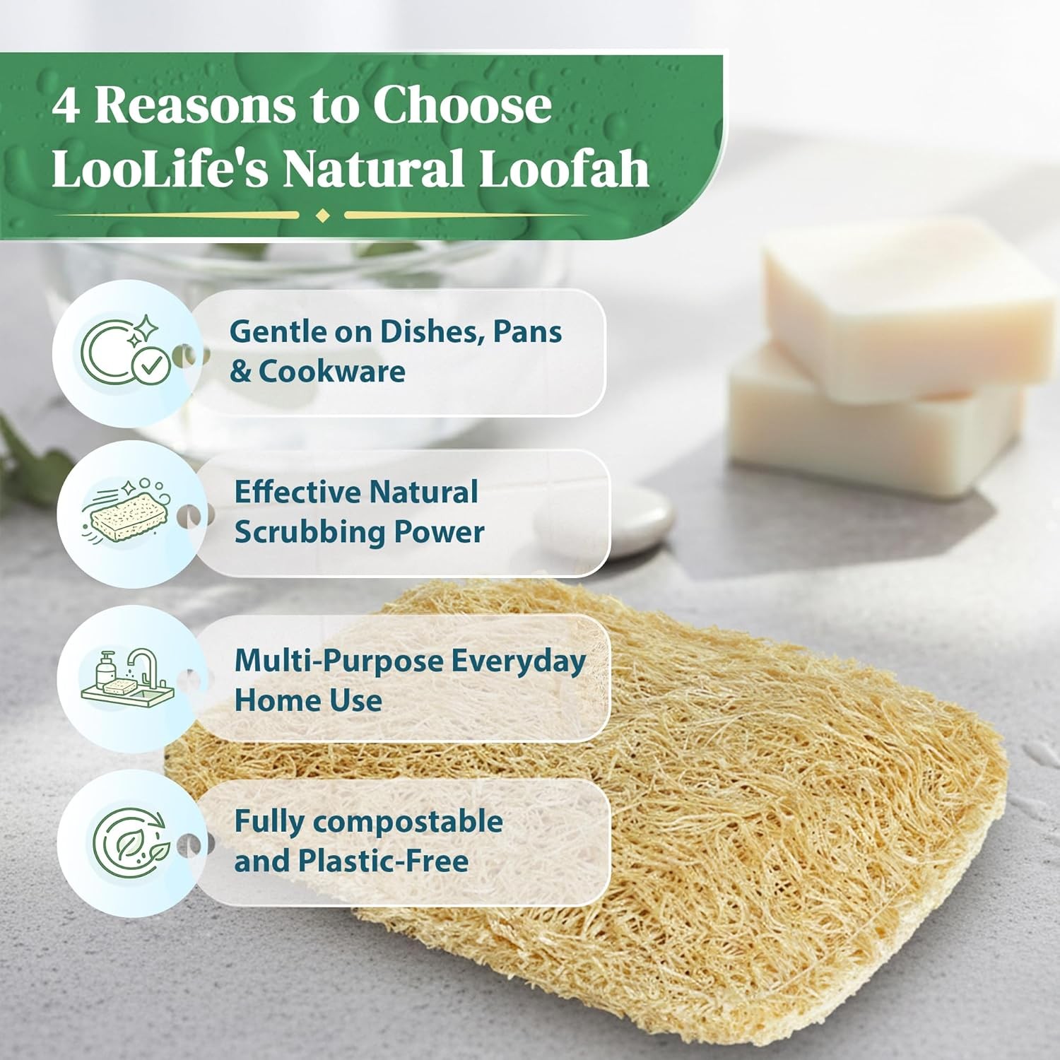Natural Loofah Kitchen Sponge (3 Pack) – Natural Sponges for Dishes – Eco