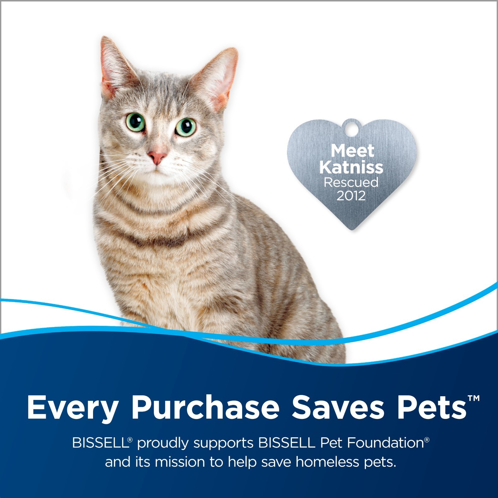 2 Pack Bissell Pet Multi Surface Formula 64oz CrossWave SpinWave 22951 Cleaner