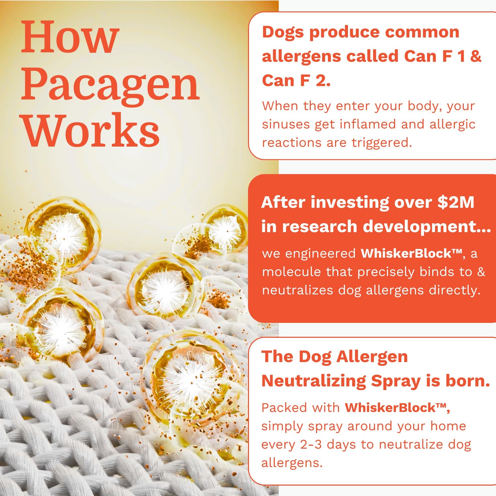 Dog Allergen Neutralizing Spray for Humans – Perfect for Home Use, Immediate …
