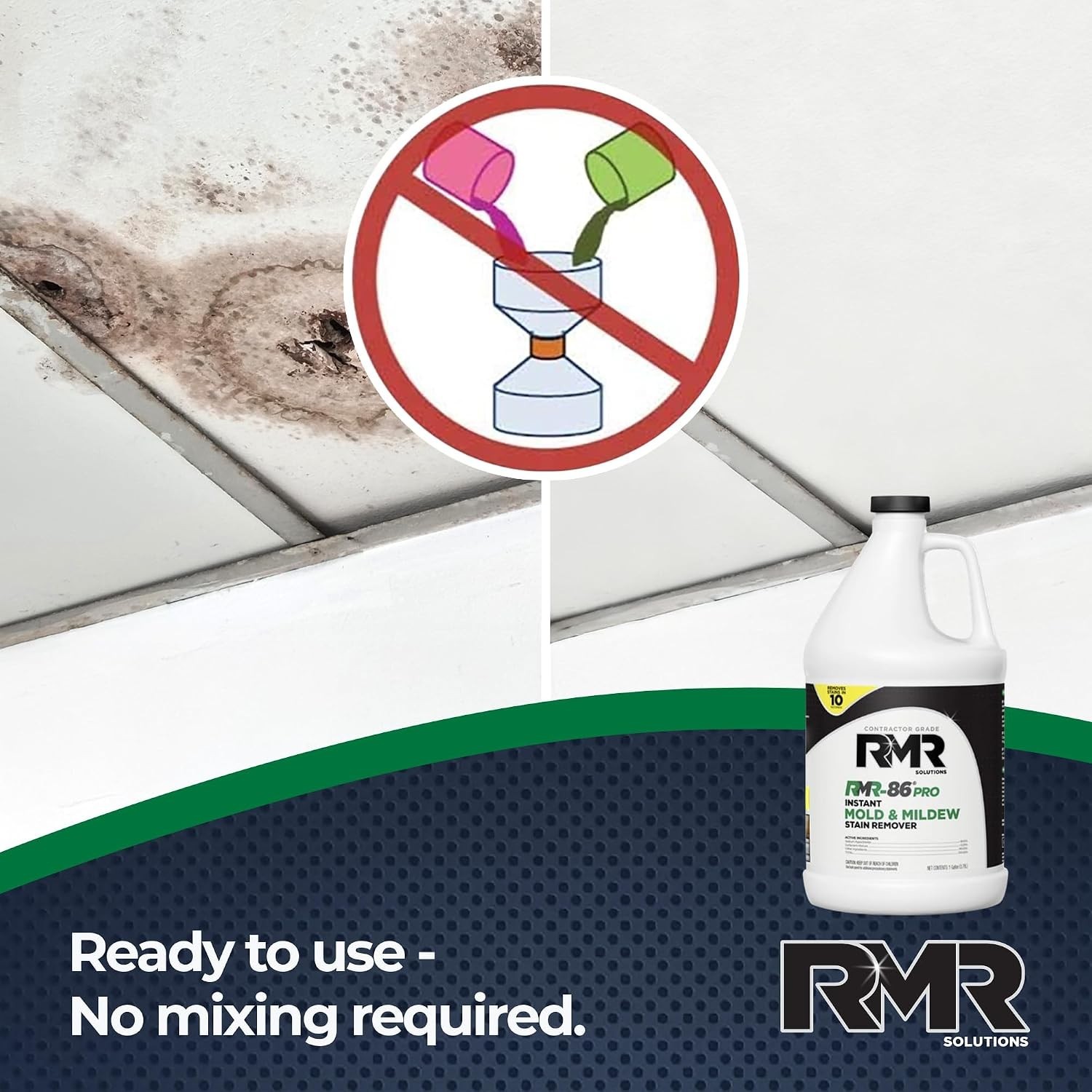 Professional Strength Mold Stain Remover