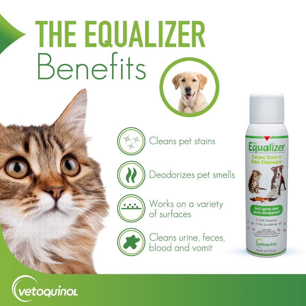 Vetoquinol Equalizer Pet Carpet Cleaner, Stain Remover Odor Eliminator, Car…