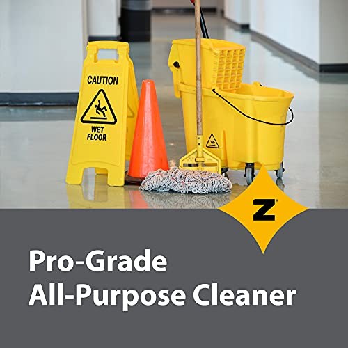 Pro-Grade All-Purpose Cleaner & Deodorizer – 32 Fl Oz (Pack of 1) Fresh Breeze