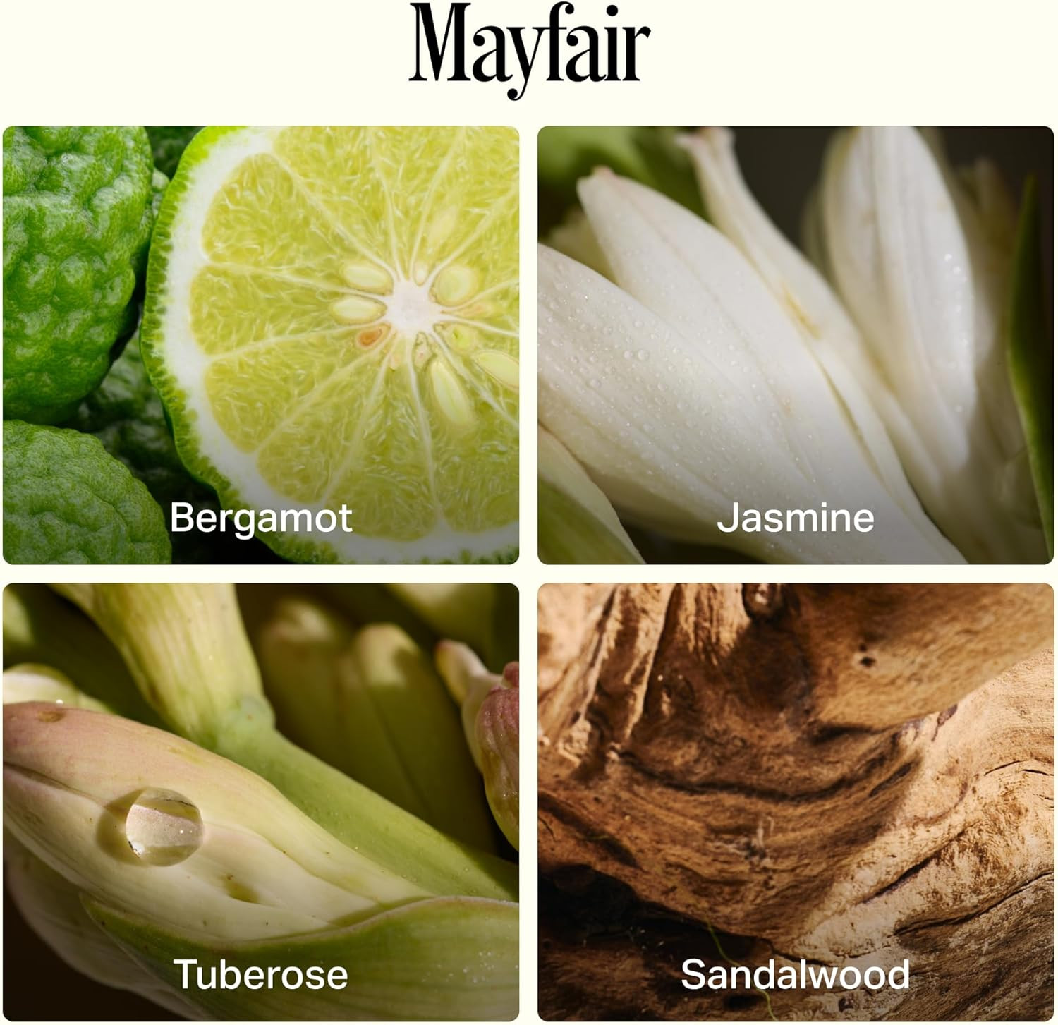 Luxury All-Purpose Cleaner, Mayfair Scent | Bio-Based Multi-Surface Spray | Stre