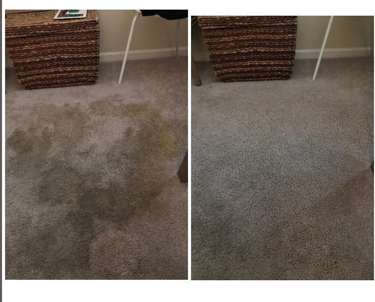 Shaw R2X Carpet Stain & Soil Remover 32 Ounces Spray