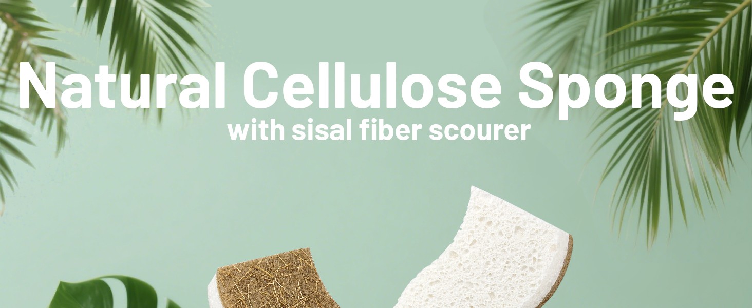 Natural Kitchen Sponges, Biodegradable & Compostable | Non-Scratch Cellulose