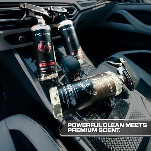 Luxury Scented Leather Interior Car Cleaner 16 Fl Oz (Pack of 1) Dark Ice
