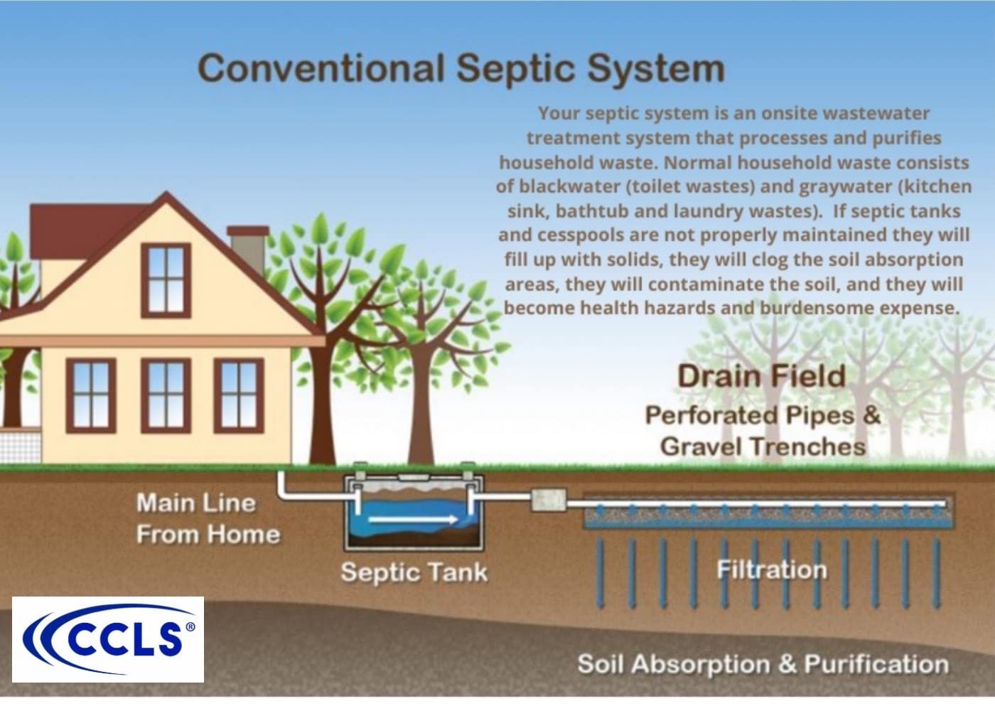 Septic Tank and Cesspool Treatment Additive/Organic Enzyme Producing Bacteria/No