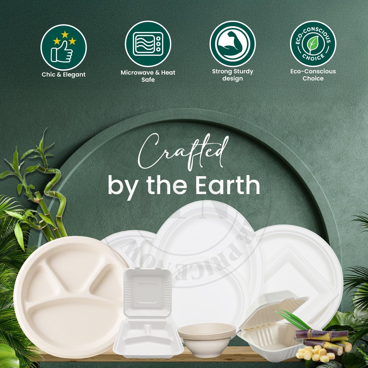 FPN Plates 4-Compartment 12 X 12 Inch 250 Pack Disposable Plates – Sugarcane F