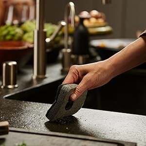 Ionic Non-Scratch Kitchen Sponge with Magnetized Holder, Dual Sided Cellulose