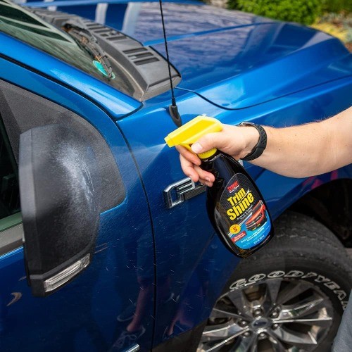 22-Ounce Trim Shine Protectant for Interior and Exterior Resto Size: Pack of 2