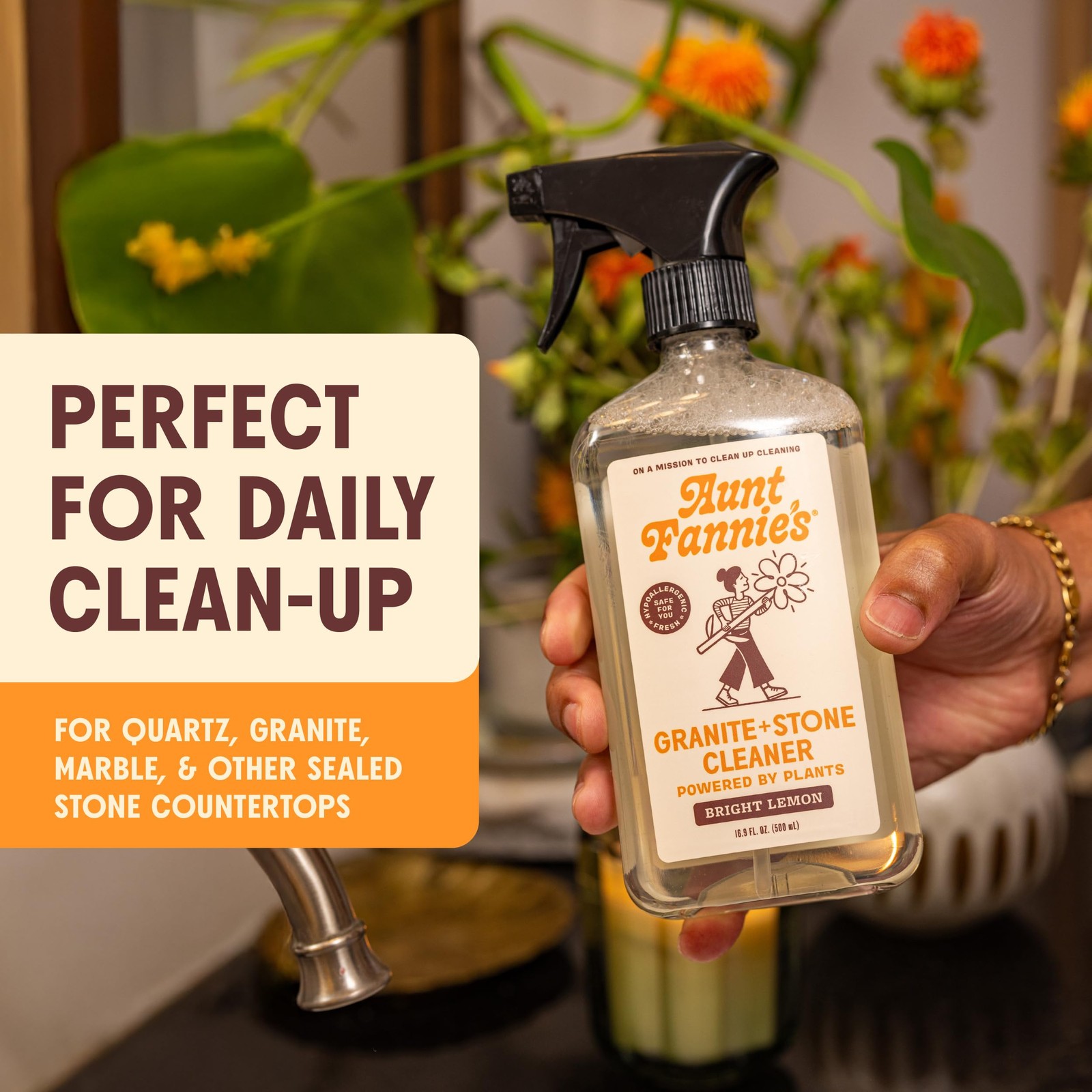 Aunt Fannie’s Granite and Stone Cleaner, Plant Based 16.9 Fl Oz (Pack of 1)