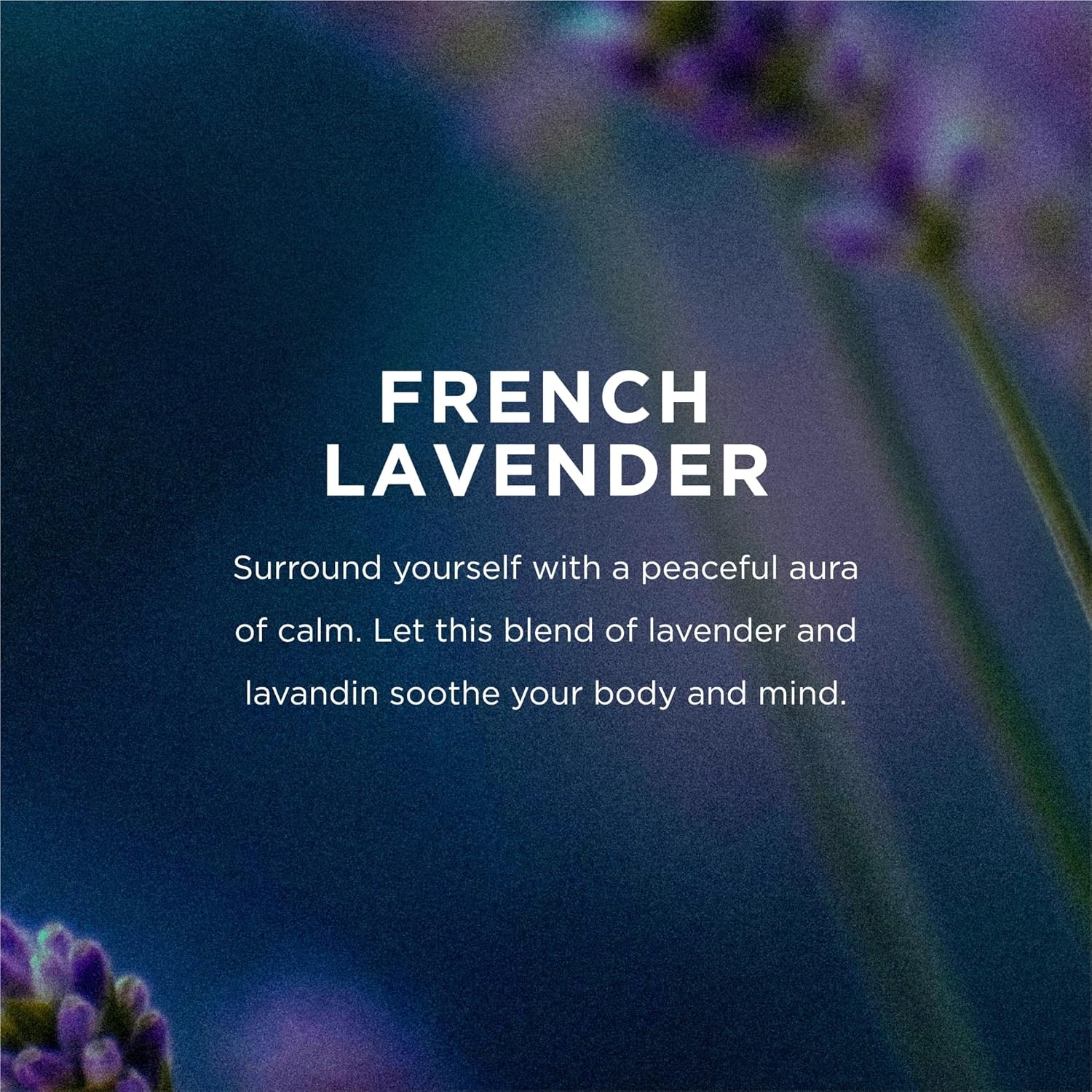 EO Shower Gel Refill, 1 Gallon, French Lavender, body wash made with Essential