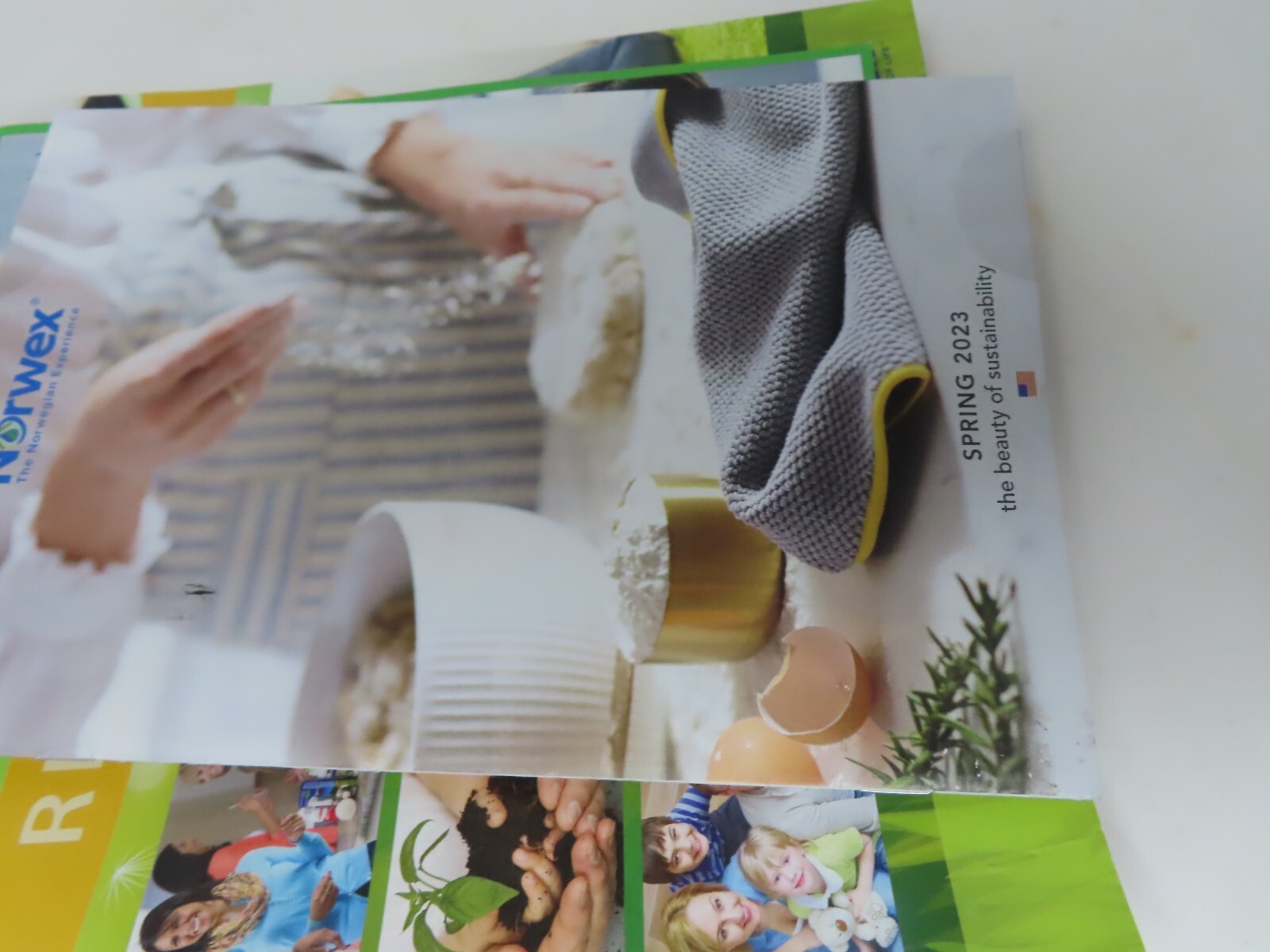NORWEX USA 5 Large Catalogs 4 Small