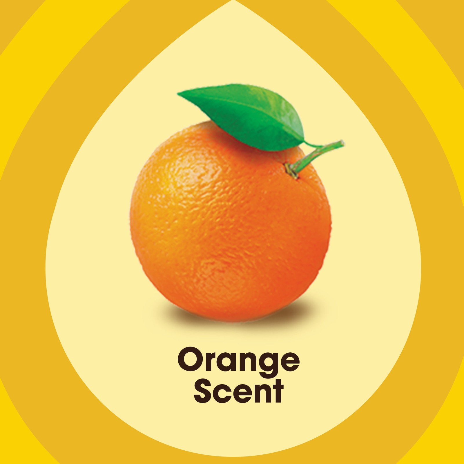 (2 Pack) Pledge Expert Care Wood Oil Spray 16 oz Orange Scent Moisturizes Revive