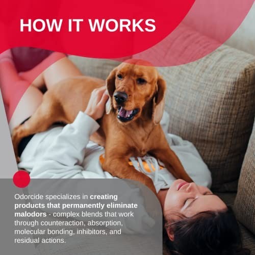Odor Eliminator Spray – Original Scent, Half Gallon Size, Pet Safe, Long-Lasting