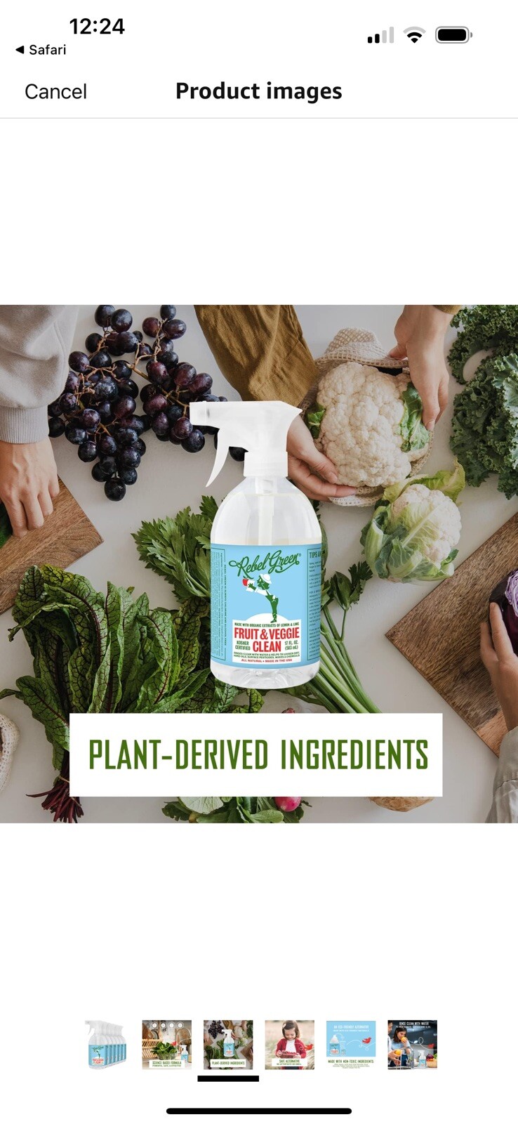 Rebel Green Cleaning Solution – Fruit and Veggie – Case of 12 – 17 fl oz