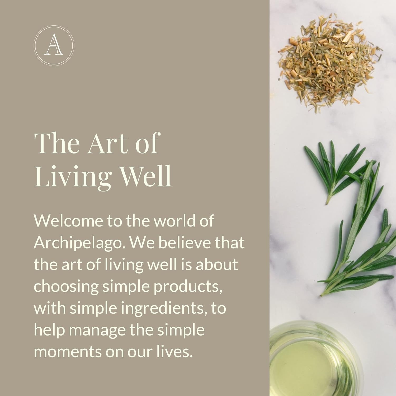 Archipelago Botanicals Milk Body Wash, Moisturizing Body Wash for Dry and Sens