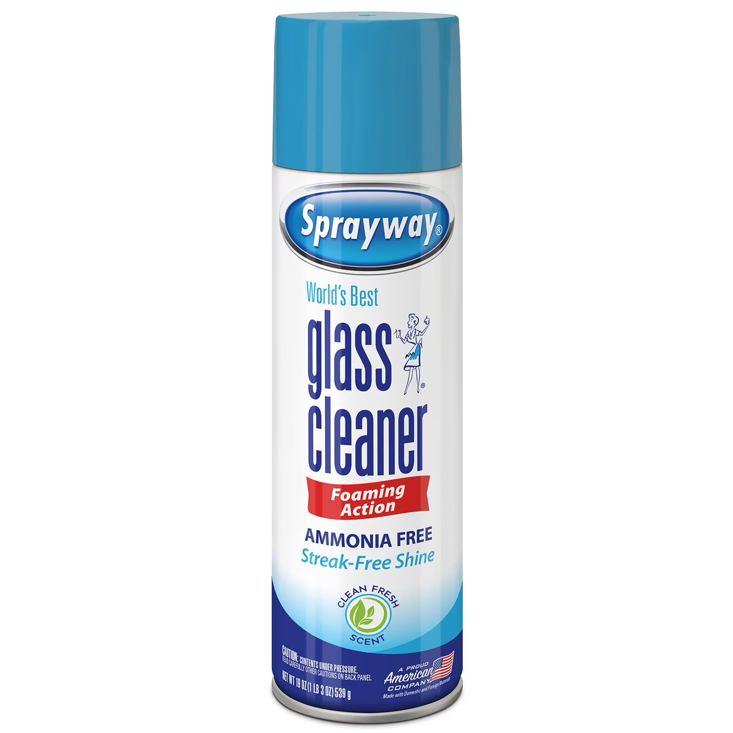 Sprayway Glass Cleaner 19 Ounce Pack of 4 Streak Free Shine FREE SHIPPING