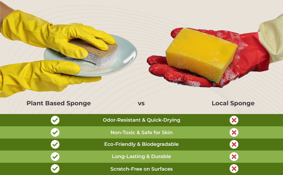 12 Pack Natural Kitchen Sponges – Biodegradable, Compostable, Sustainable Wood