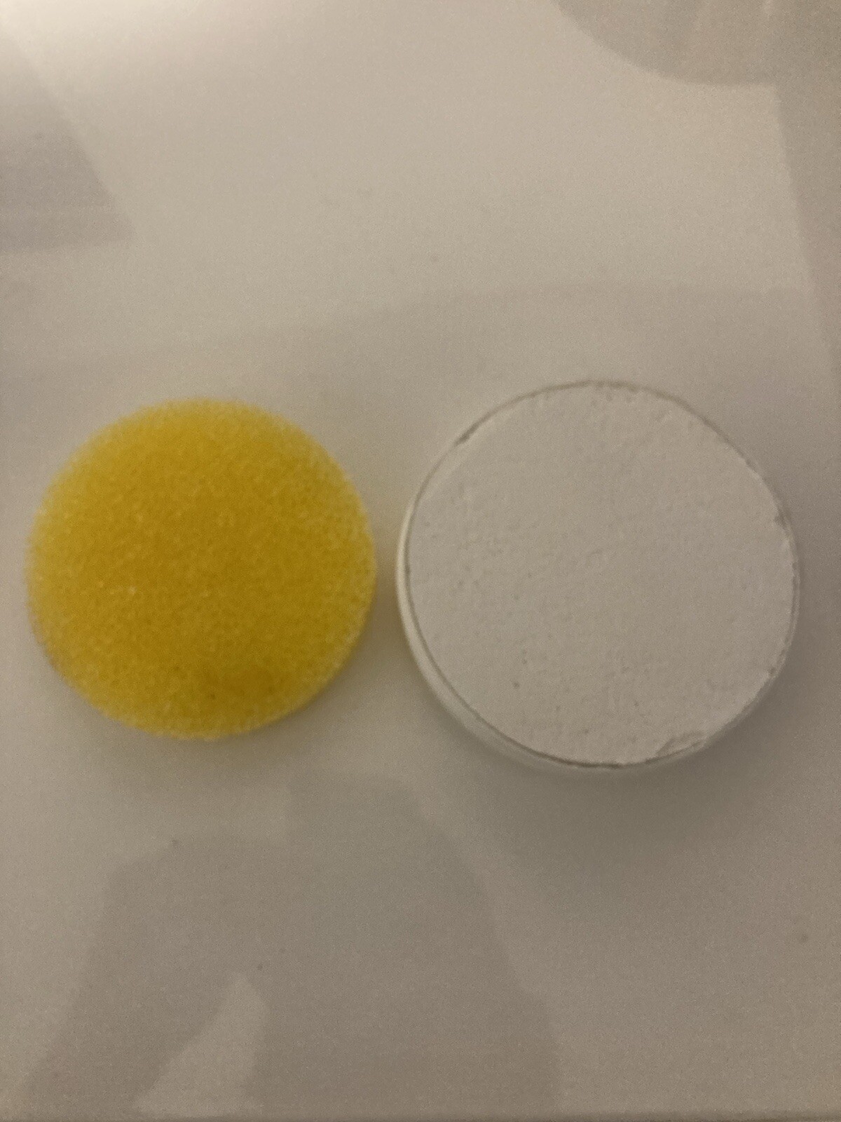 BioCleaner Citrus 10.5oz Plus Scrubber All Natural Multi Purpose