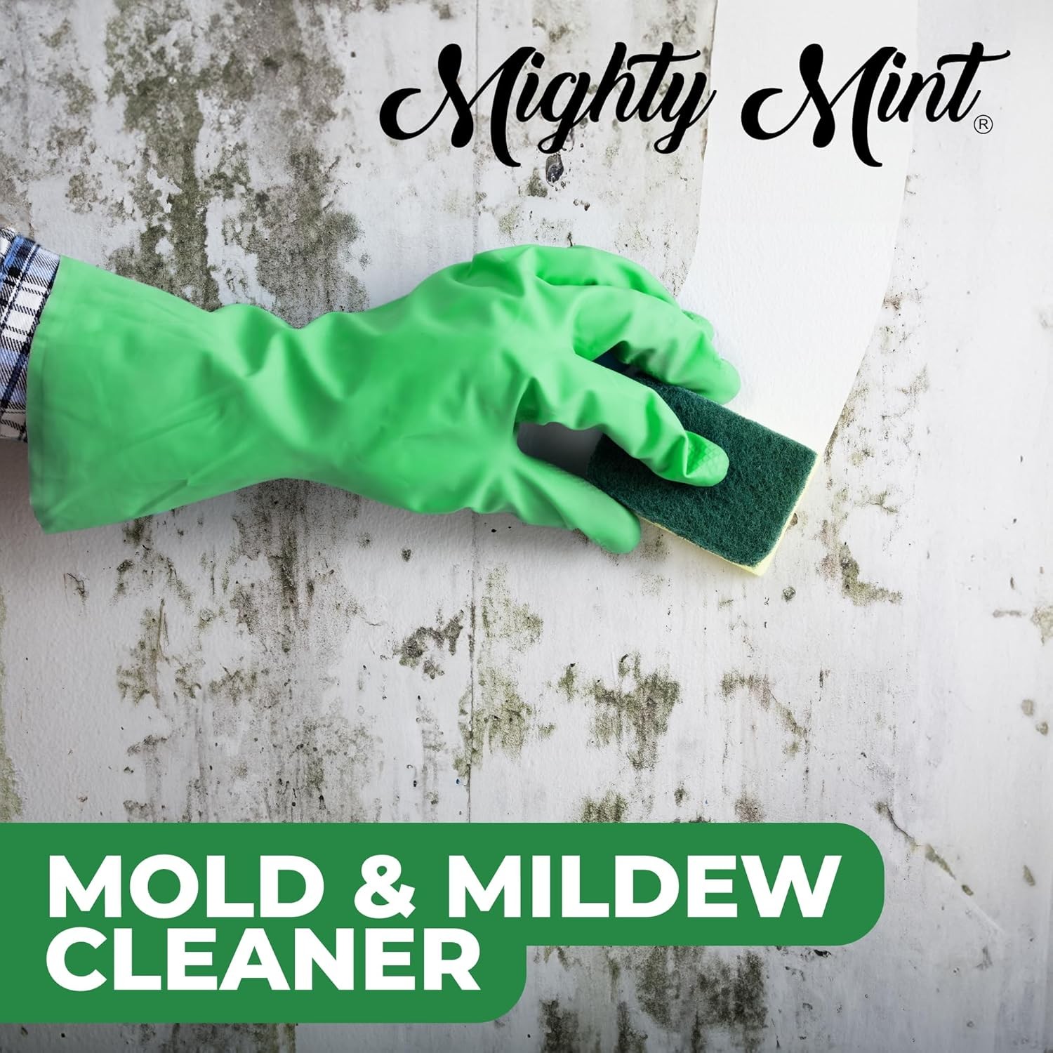 Mighty Mint Mold & Mildew Stain Remover Spray, Rapid Clean for Bathroom, Kitchen