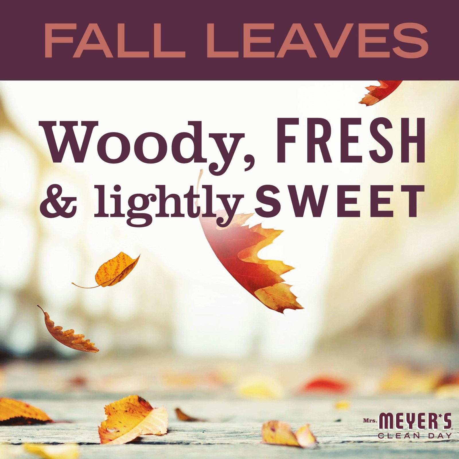 CLEAN DAY Dish Soap, Fall Leaves Scent, 16 fl oz (1)